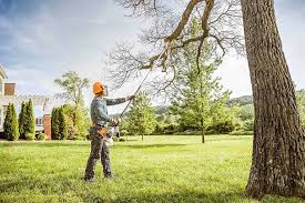 Best Emergency Tree Removal  in Twin City, GA